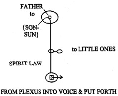 from plexus into voice and put forth